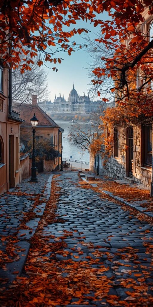 Autumn view of cobblestone street with fallen leaves, leading to a grand building across the river under a clear blue sky.