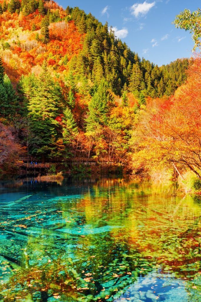 Vibrant autumn foliage reflected in clear turquoise water at Jiuzhaigou Valley, Sichuan, China. Scenic fall landscape.