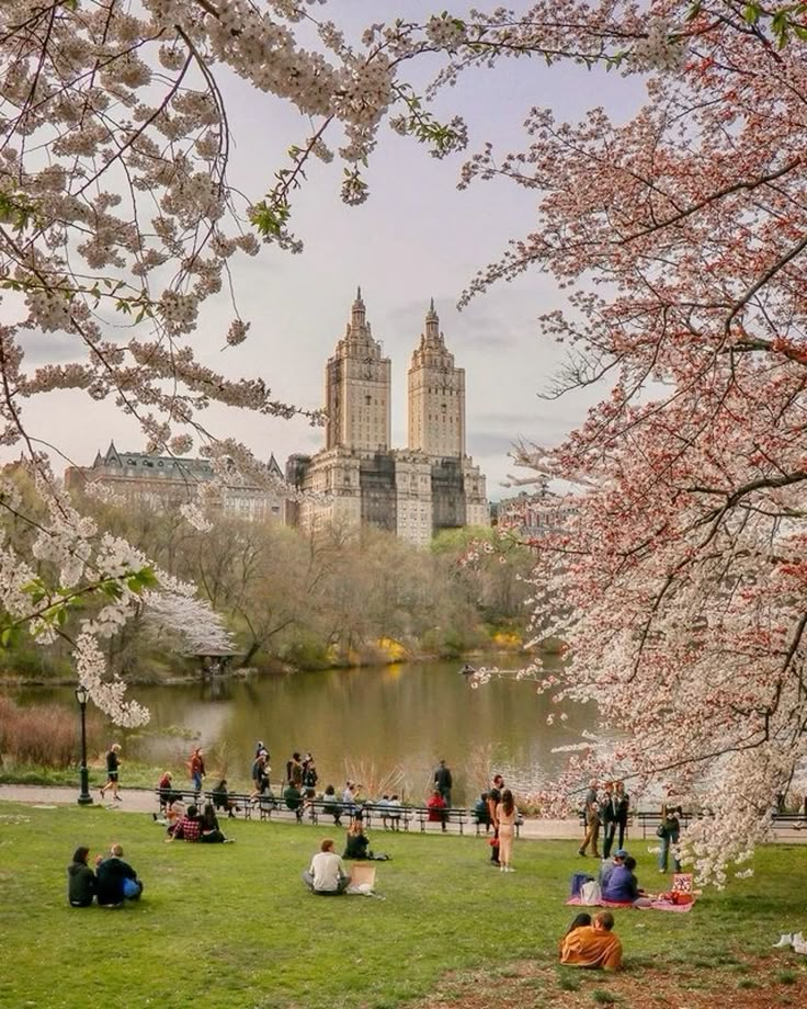 Cherry blossoms framing a peaceful park scene with a pond and historic twin towers in the background, people relaxing on the grass.