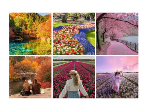 Collage of vibrant seasonal landscapes and gardens with colorful flowers, autumn leaves, and scenic paths.