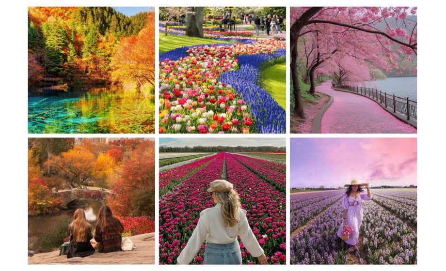 Collage of vibrant seasonal landscapes and gardens with colorful flowers, autumn leaves, and scenic paths.