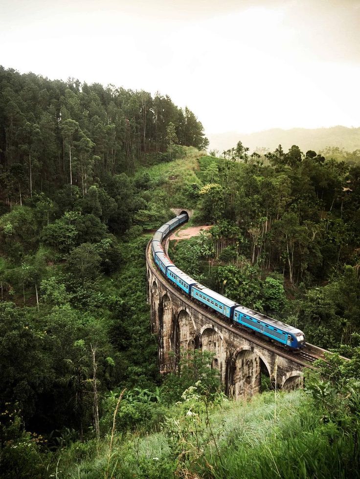 Blue train crossing a scenic arched bridge surrounded by lush greenery, under a cloudy sky.