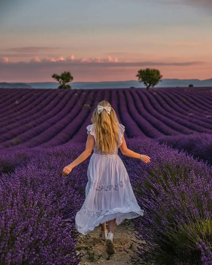 Woman in white dress walking through a lavender field at sunset, capturing a serene and scenic countryside moment.