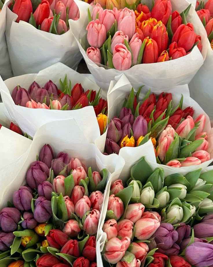 Colorful tulip bouquets wrapped in white paper, featuring shades of pink, red, purple, and yellow blooms, ideal for floral decoration.