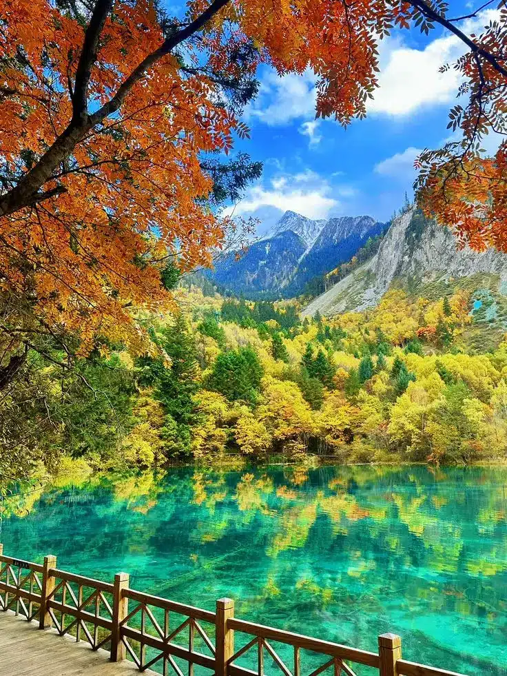 Autumn leaves frame a serene turquoise lake with mountain backdrop, vibrant fall foliage reflection in the water, peaceful landscape.