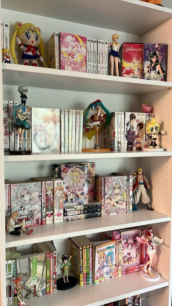 Anime-themed bookshelf filled with manga and figurines, featuring popular series and characters for collectors and fans.