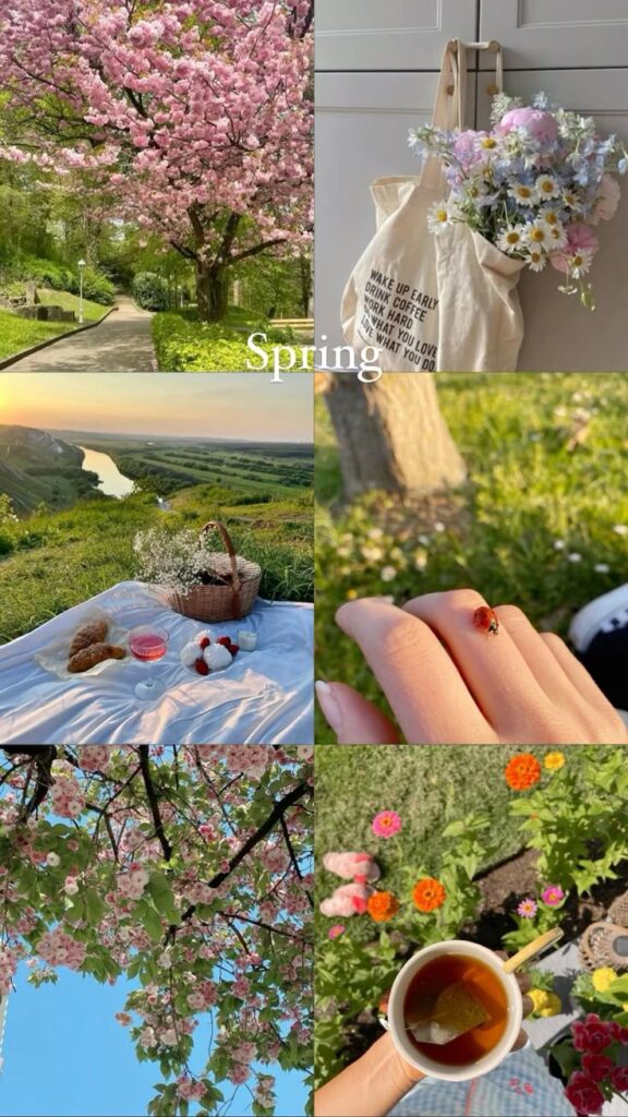 Collage of spring scenes: cherry blossoms, picnic, bouquet in a bag, ladybug, colorful flowers, and a cup of tea.