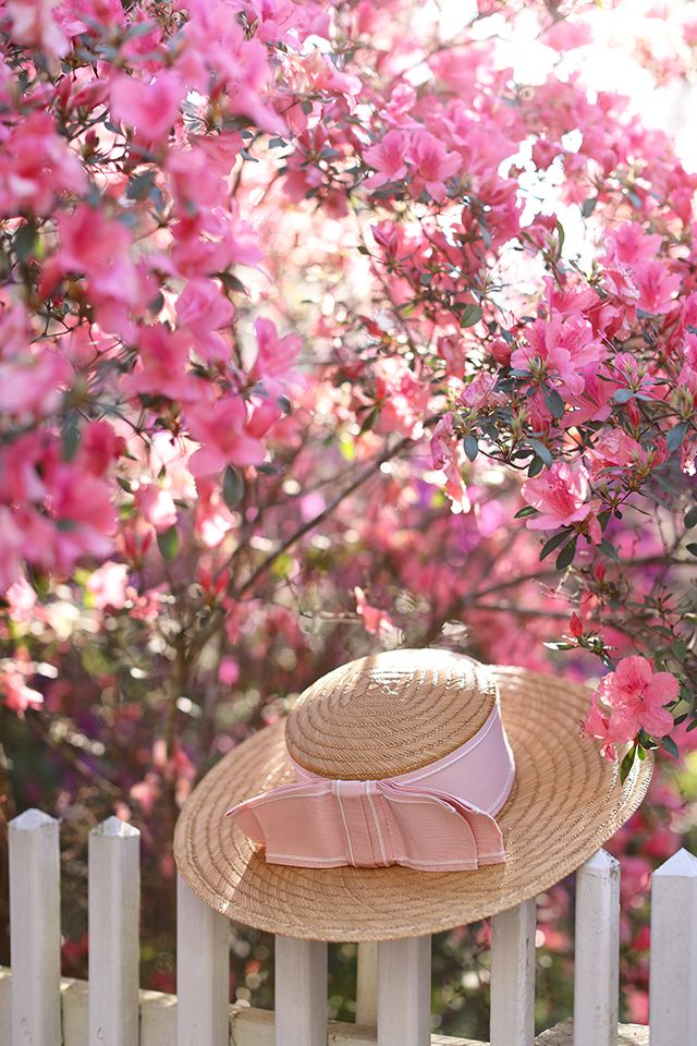 Straw hat with pink ribbon on fence surrounded by vibrant pink flowers under sunlight, creating a serene spring garden atmosphere.