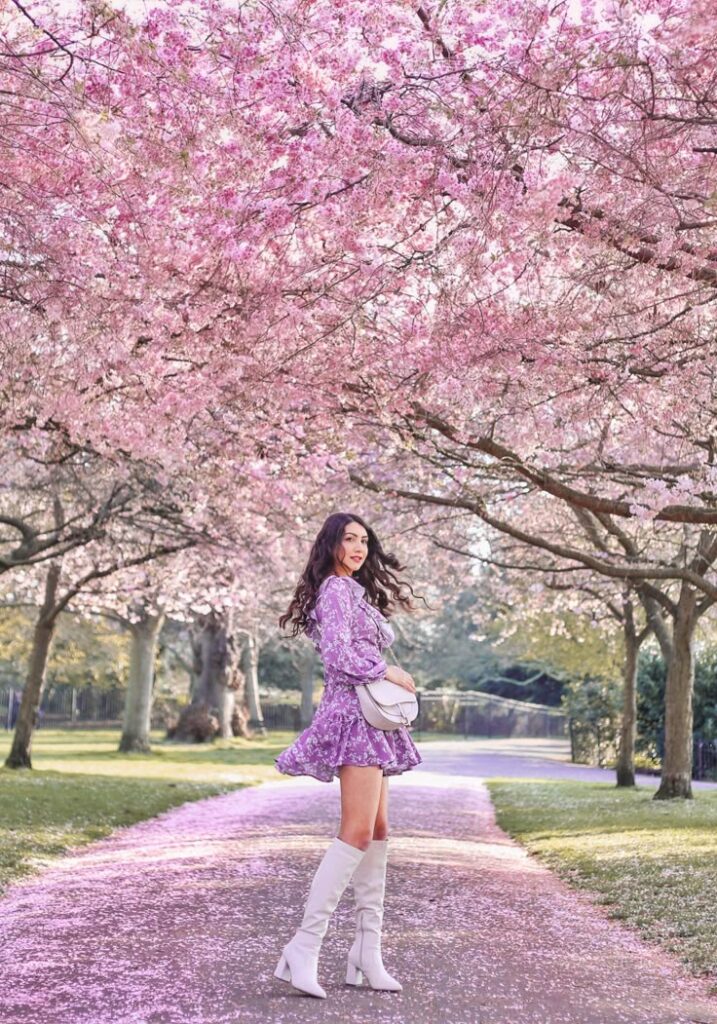 Woman in purple dress walking under cherry blossom trees on a sunny spring day, surrounded by pink petals.