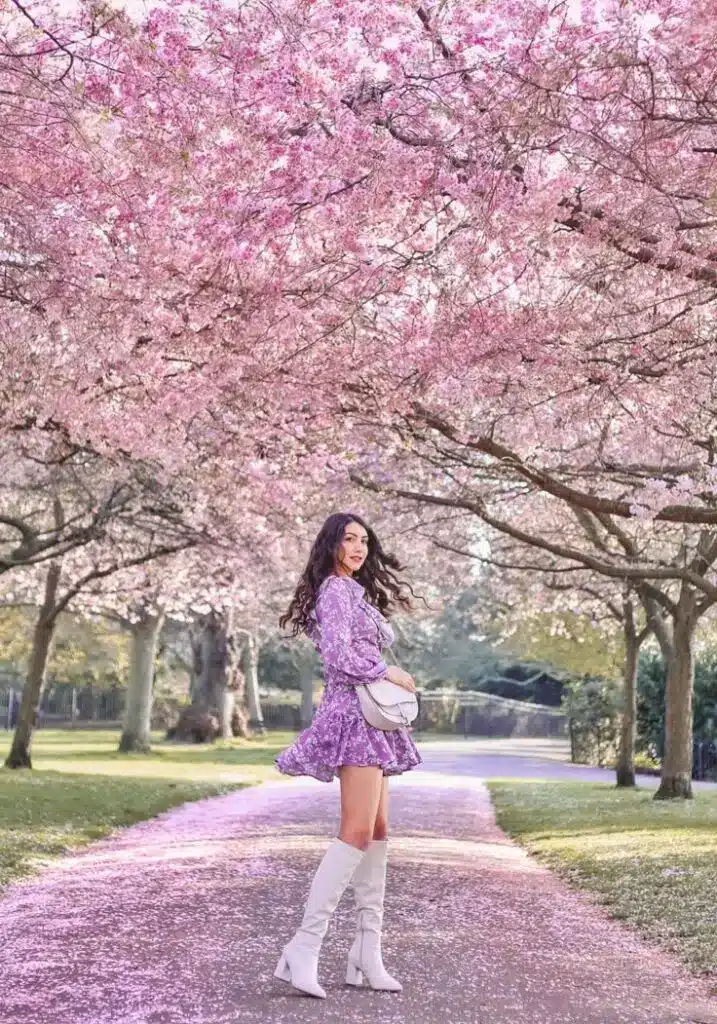 Woman in purple dress walking under cherry blossom trees on a sunny spring day, surrounded by pink petals.