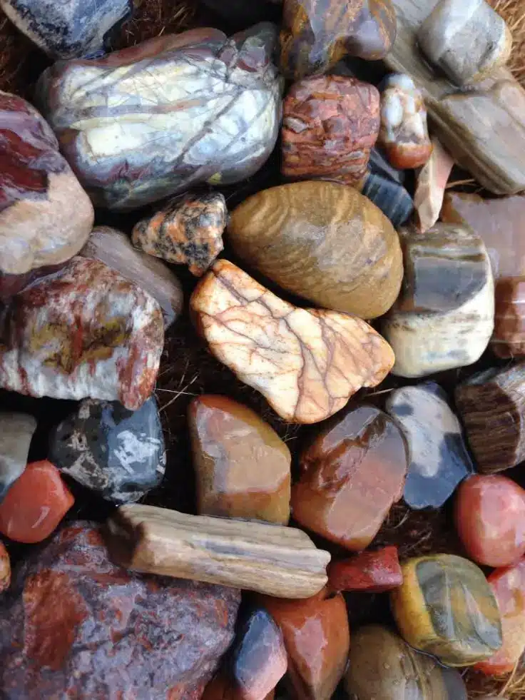 Colorful polished stones in various shapes and sizes, showcasing natural patterns and textures. Perfect for decoration and craft projects.