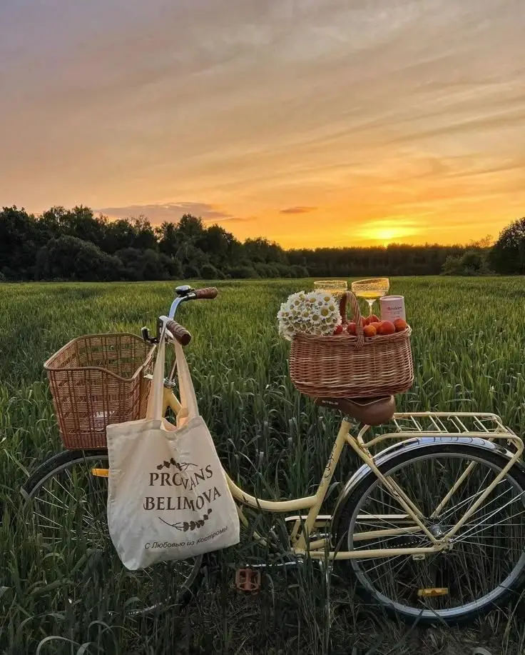 Vintage bike in a field at sunset, adorned with a basket of daisies and fruit, evoking a serene countryside escape.