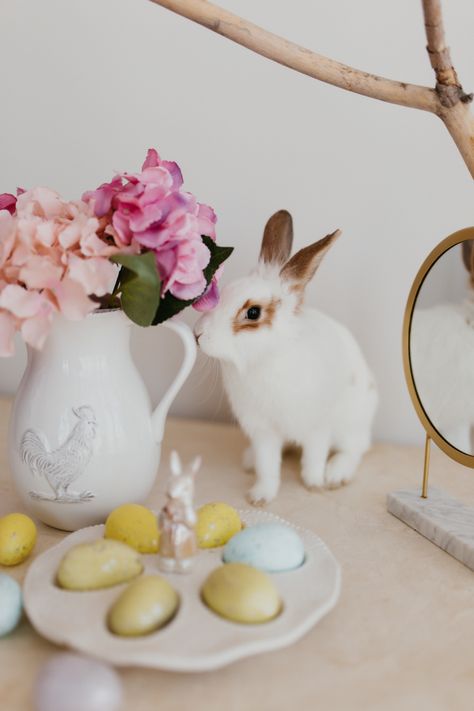45ab2c9026a7d60211f2050a89ab81e5 - Handy Home Cute bunny sniffing pink hydrangeas in a vase, surrounded by painted eggs on a table. Perfect Easter or spring scene.
