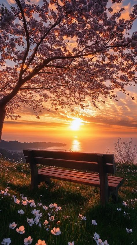 b5fbfb304e03e4725736f4af5e2dc890 - Handy Home Scenic sunset view with blossoming cherry tree over a tranquil ocean, a wooden bench, and blooming flowers in serene landscape.