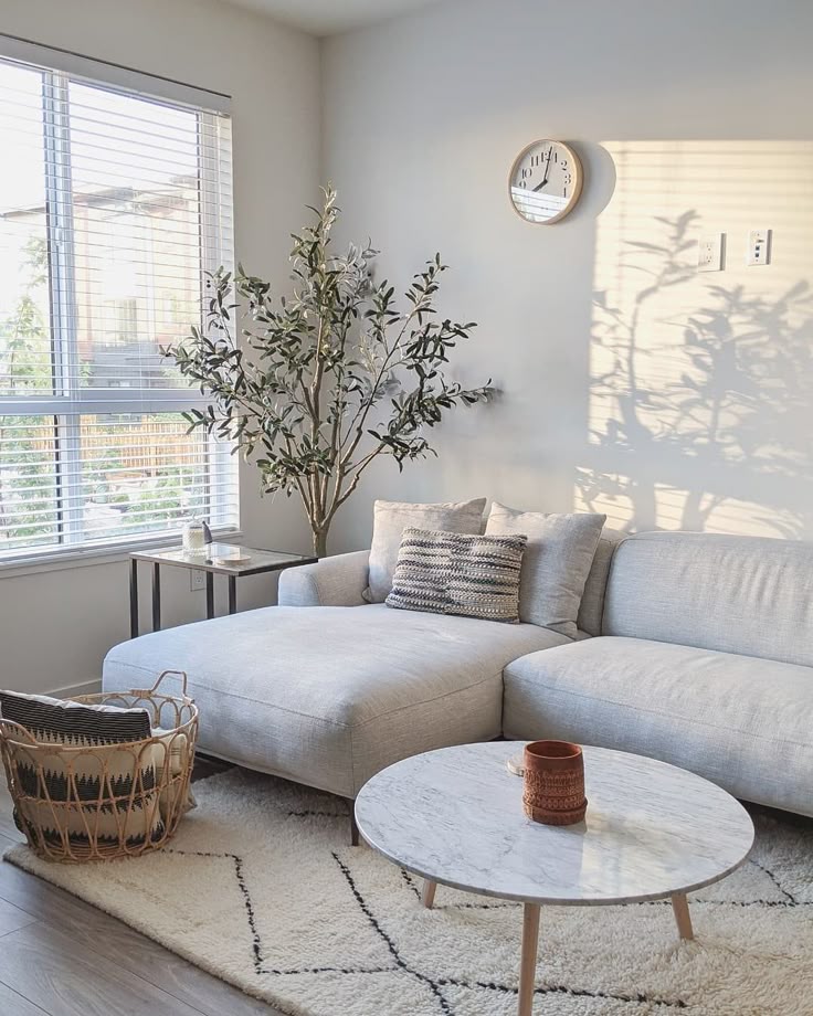 Stylish living room with a light gray sofa, cozy rug, potted plant, marble coffee table, and wall clock under natural sunlight.