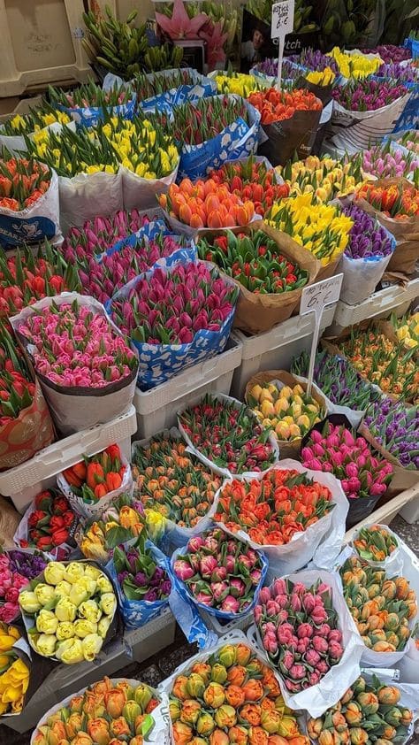 Colorful tulip bouquets on display at a vibrant market stall, showcasing a variety of bright and cheerful blossoms.