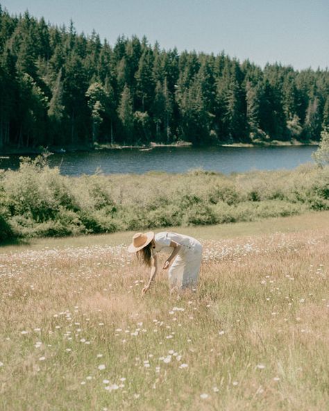 Person in a sun hat picking flowers in a scenic meadow by a serene lake and forest under a clear sky.