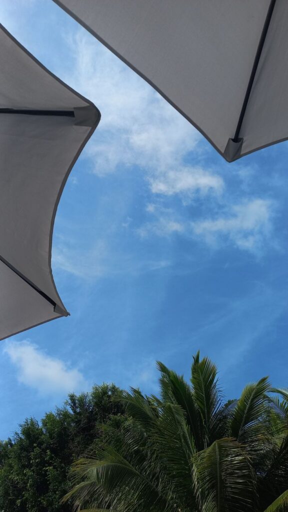 Sunny sky view framed by umbrellas and lush palm trees, perfect summer day.