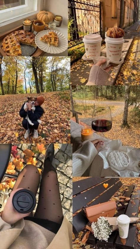 Cozy autumn collage: pumpkin pie, coffee, fallen leaves, wine, picnic, and warm moments in nature. Perfect fall vibes. 🍂📸