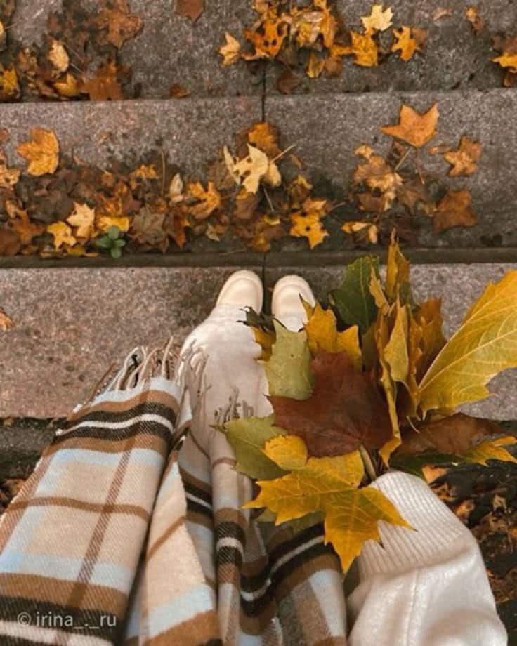 Person in fall outfit with plaid scarf holding autumn leaves, standing on leaf-covered steps. Cozy autumn vibes.