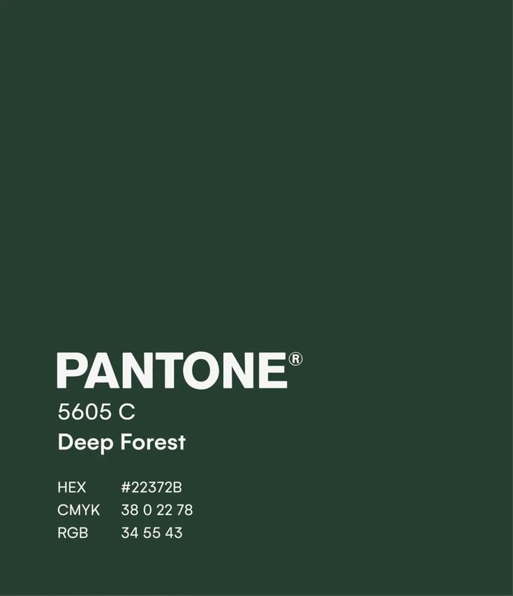 Pantone 5605 C Deep Forest color swatch with HEX #22372B. Rich, dark green ideal for design and branding.