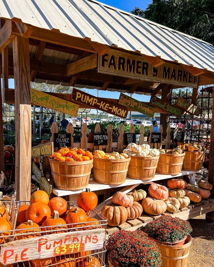 Farmer's market stand displaying a variety of pumpkins and squash under a wooden structure, perfect for fall decorations.