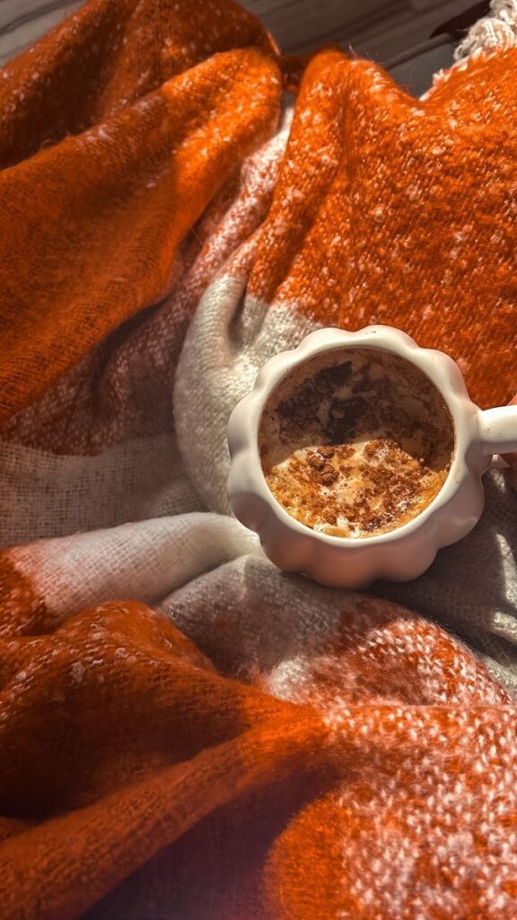 26072e0e-1727-4717-a197-ba1026a4f378 - Handy Home Cozy cup of warm cocoa with cinnamon on an orange and white blanket in sunlight. Perfect winter relaxation scene.