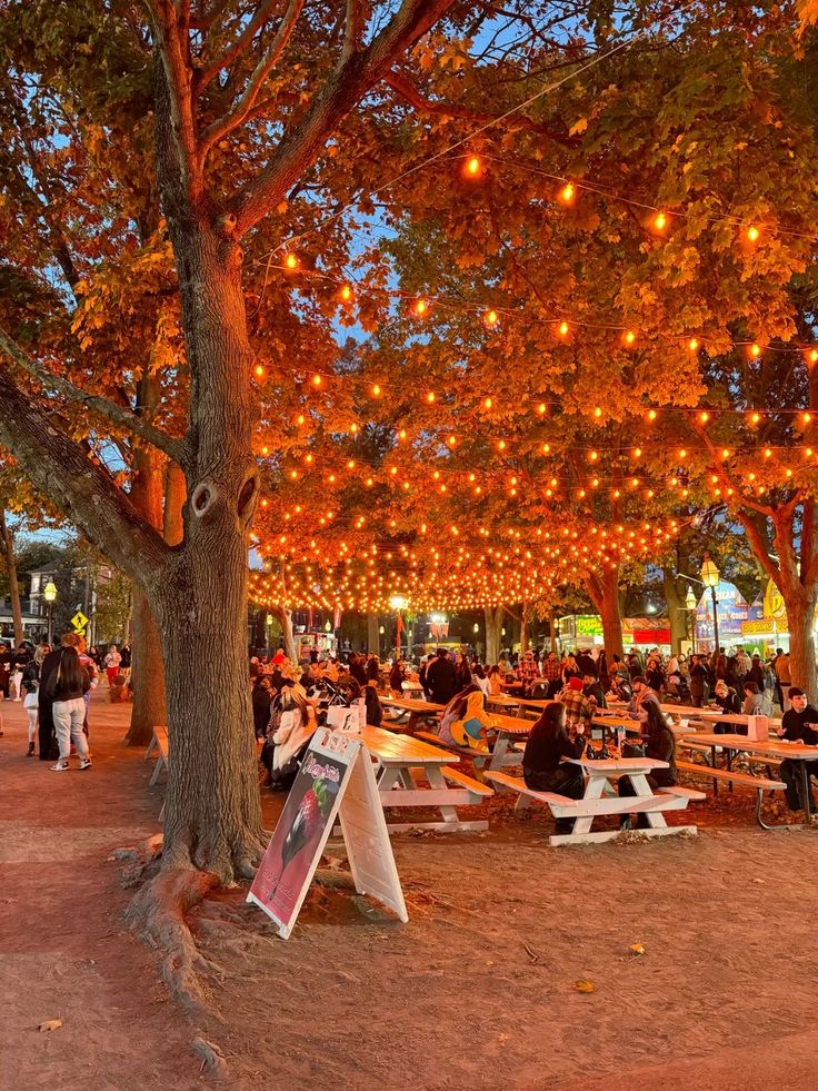 Outdoor picnic area with string lights creating a warm ambiance, and people gathering under autumn trees at dusk.