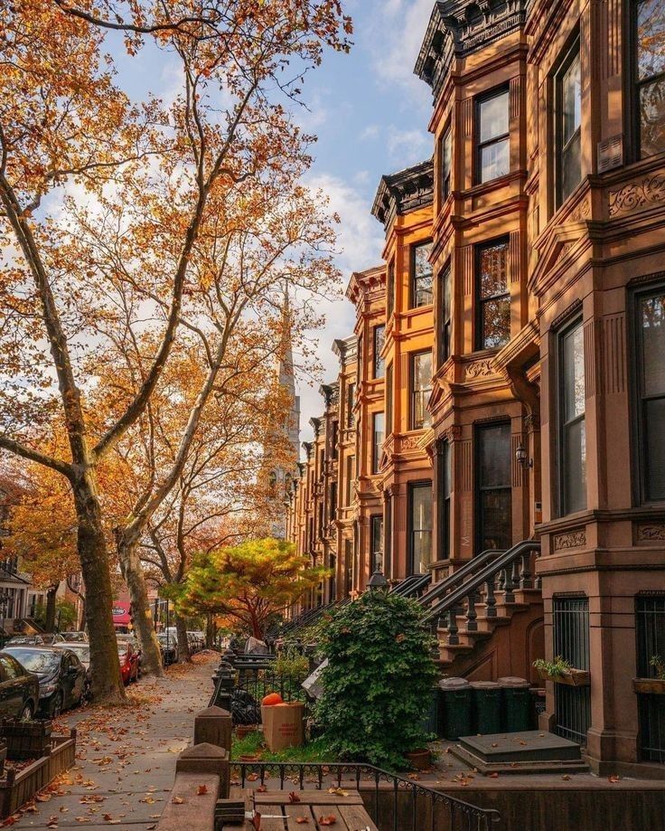 Tree-lined street with brownstone buildings in autumn, showcasing vibrant fall colors and urban architecture.
