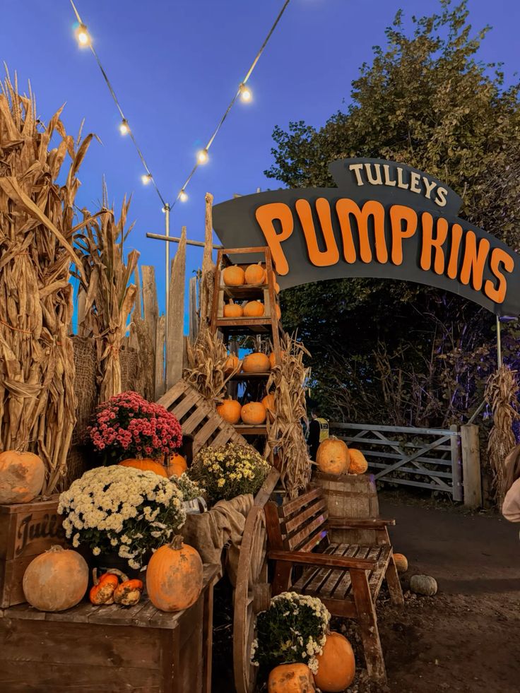 Pumpkin display at Tulley's farm entrance, surrounded by festive autumn decor, flowers, and string lights under a twilight sky.