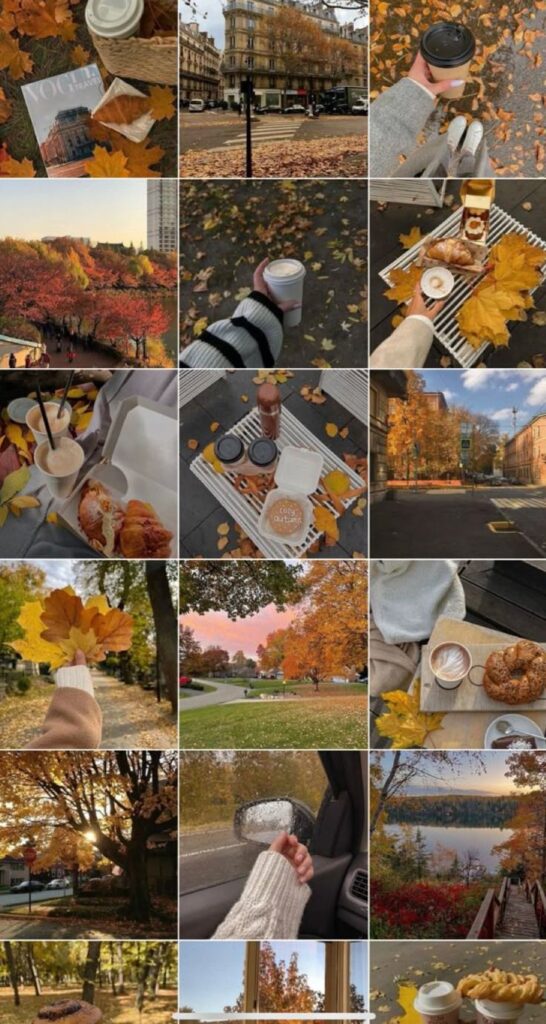 9e60eb48-4883-4b64-ac71-66cb0403fc3c - Handy Home Collage of cozy autumn scenes: coffee, pastries, colorful leaves, and scenic landscapes, capturing the essence of fall. 🍂☕