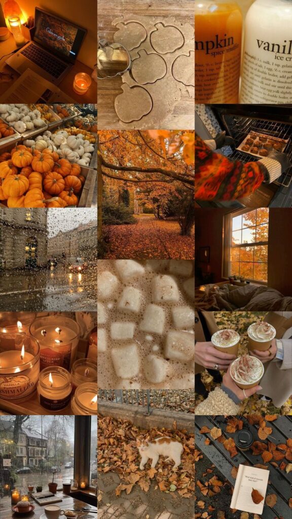 Autumn collage featuring pumpkins, cozy scenes, rainy days, and warm beverages, capturing the essence of fall comfort and beauty.