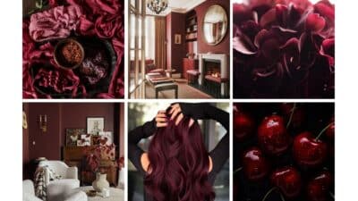 Collage of burgundy aesthetics: fabric, luxurious room, flowers, decor, hair, and glossy cherries. Rich, elegant vibe.