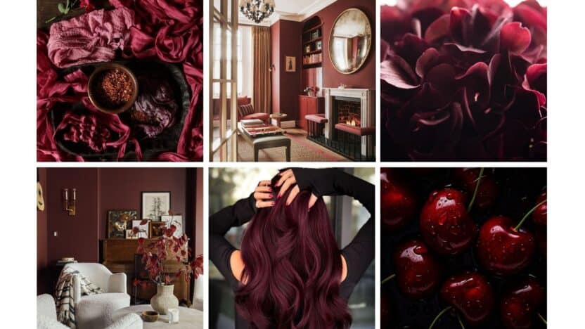 Collage of burgundy aesthetics: fabric, luxurious room, flowers, decor, hair, and glossy cherries. Rich, elegant vibe.