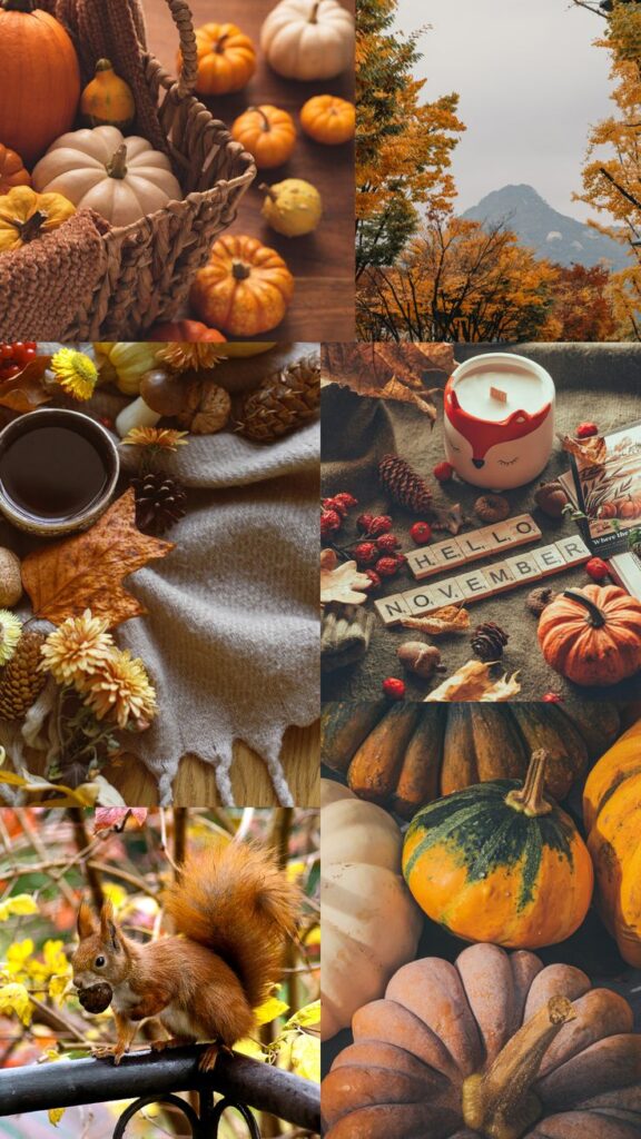 Autumn scene with pumpkins, a squirrel, and a Hello November setup, embodying cozy fall vibes and seasonal decor.