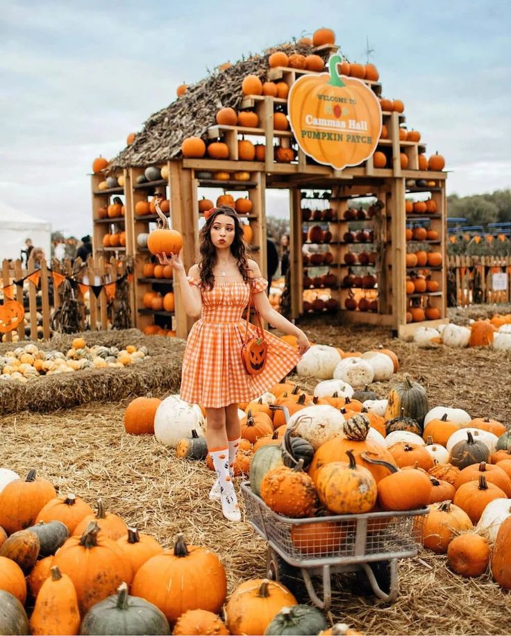 Young woman in a gingham dress at a vibrant pumpkin patch, holding a pumpkin. Autumn harvest scene with colorful pumpkins.
