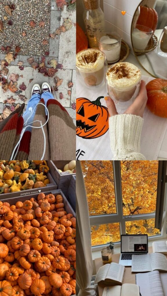 Cozy autumn vibes: fall leaves, pumpkin spice lattes, abundant pumpkins, and a study setup with vibrant autumn foliage outside.