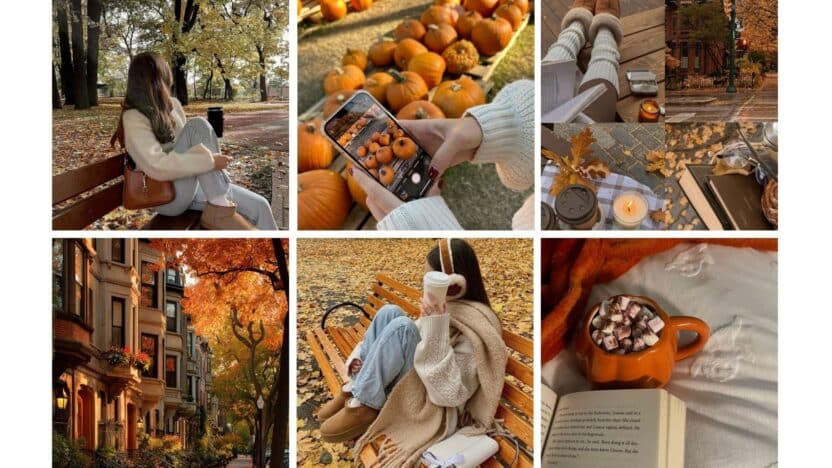 Autumn collage: cozy sweaters, pumpkins, hot cocoa, fall streets, and park scenery representing a warm, inviting fall atmosphere.