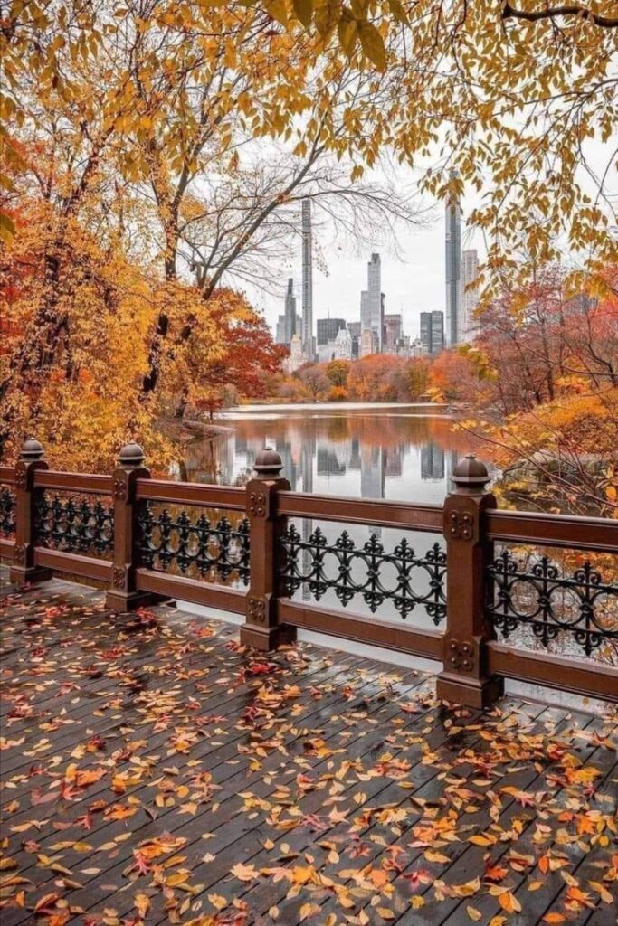 Autumn leaves cover a wooden pathway overlooking a serene lake with city skyline in the background. Peaceful fall scene perfect for relaxation.