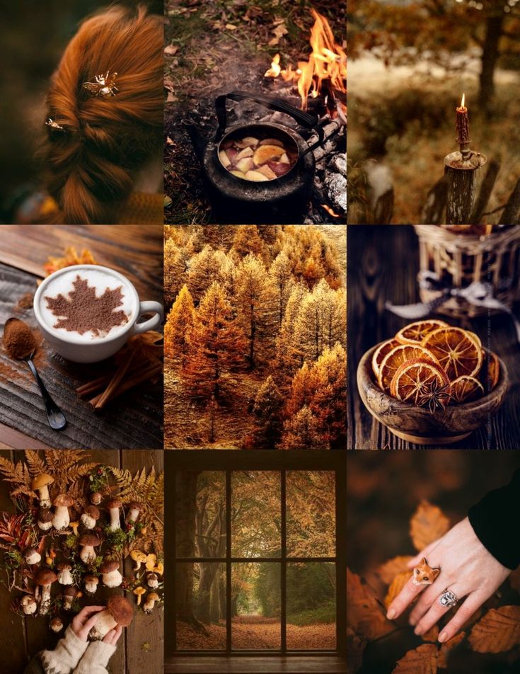 Autumn collage: cozy fire, fall foliage, cinnamon drink, forest view, dried oranges, mushrooms, and seasonal decor. Fall vibes.