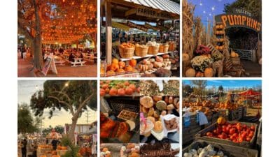 Collage of autumn scenes at a fall festival with pumpkins, a farmer's market, festive lights, and seasonal treats.