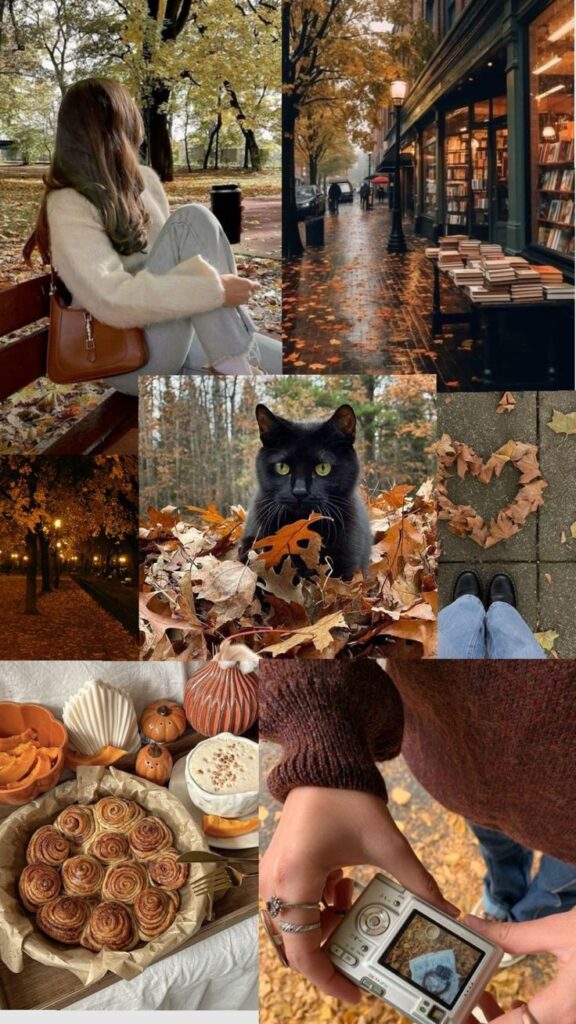 Collage of cozy autumn scenes: woman on bench, cat in leaves, bookshop street, cinnamon rolls, fall foliage, and a vintage camera. 🍂📚🍁