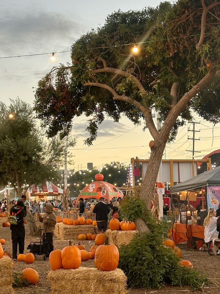 Festive pumpkin patch at sunset with hay bales, string lights, and colorful stalls, capturing the essence of autumn celebrations.