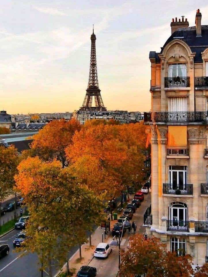 View of the Eiffel Tower and Parisian street lined with autumn trees, featuring classic architecture and vibrant fall colors at sunset.