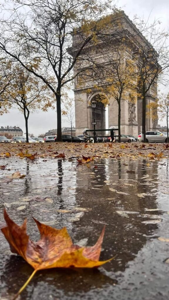 Autumn leaves on a rainy street near the Arc de Triomphe in Paris, showcasing a serene fall atmosphere.
