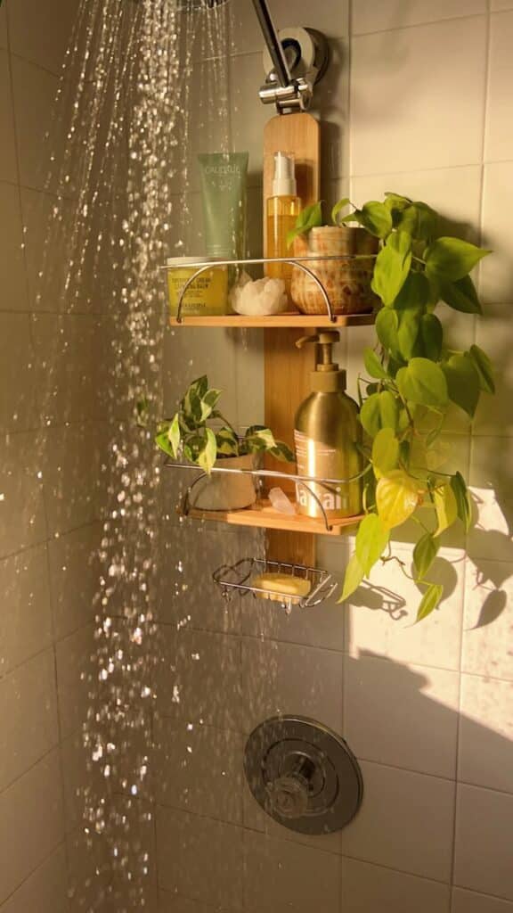 Shower with lush green plant, skincare products, and a running water stream, creating a relaxing bathroom ambiance.