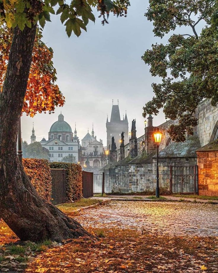 Autumn view of historic Charles Bridge and St. Nicholas Church in Prague, accented by glowing streetlights and fallen leaves.