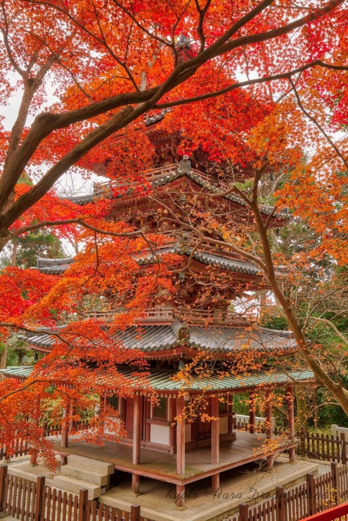 Traditional Japanese pagoda amidst vivid autumn red foliage in a serene garden setting.