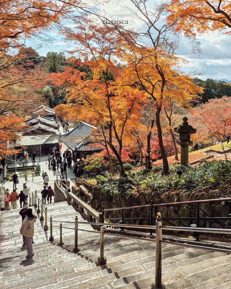 Autumn scene with vibrant fall foliage and people walking down stone steps, leading to traditional Japanese buildings.