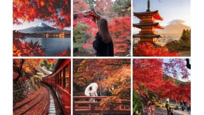 Collage of vibrant autumn scenes in Japan, showcasing colorful foliage, traditional architecture, and serene landscapes.